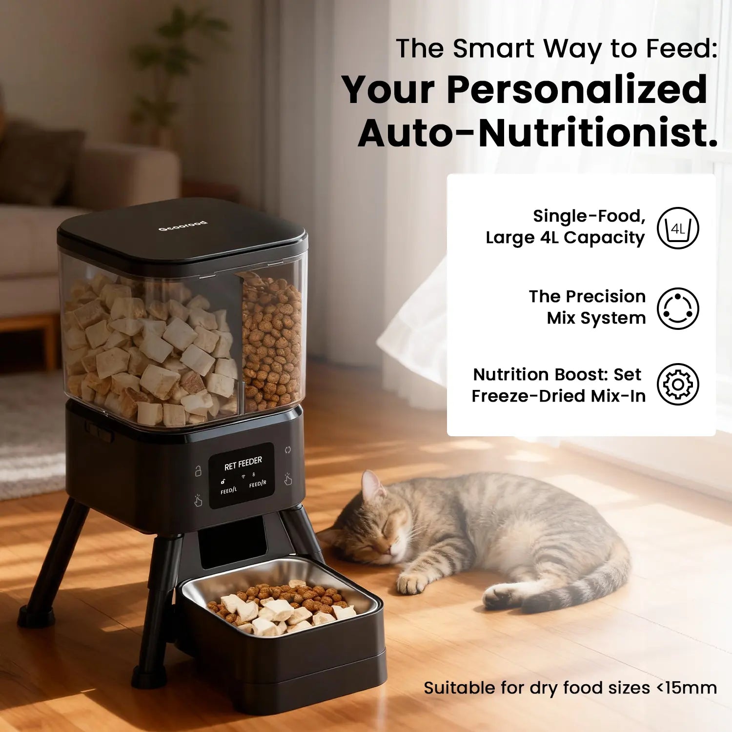 Dual Chamber Automatic Cat Feeder