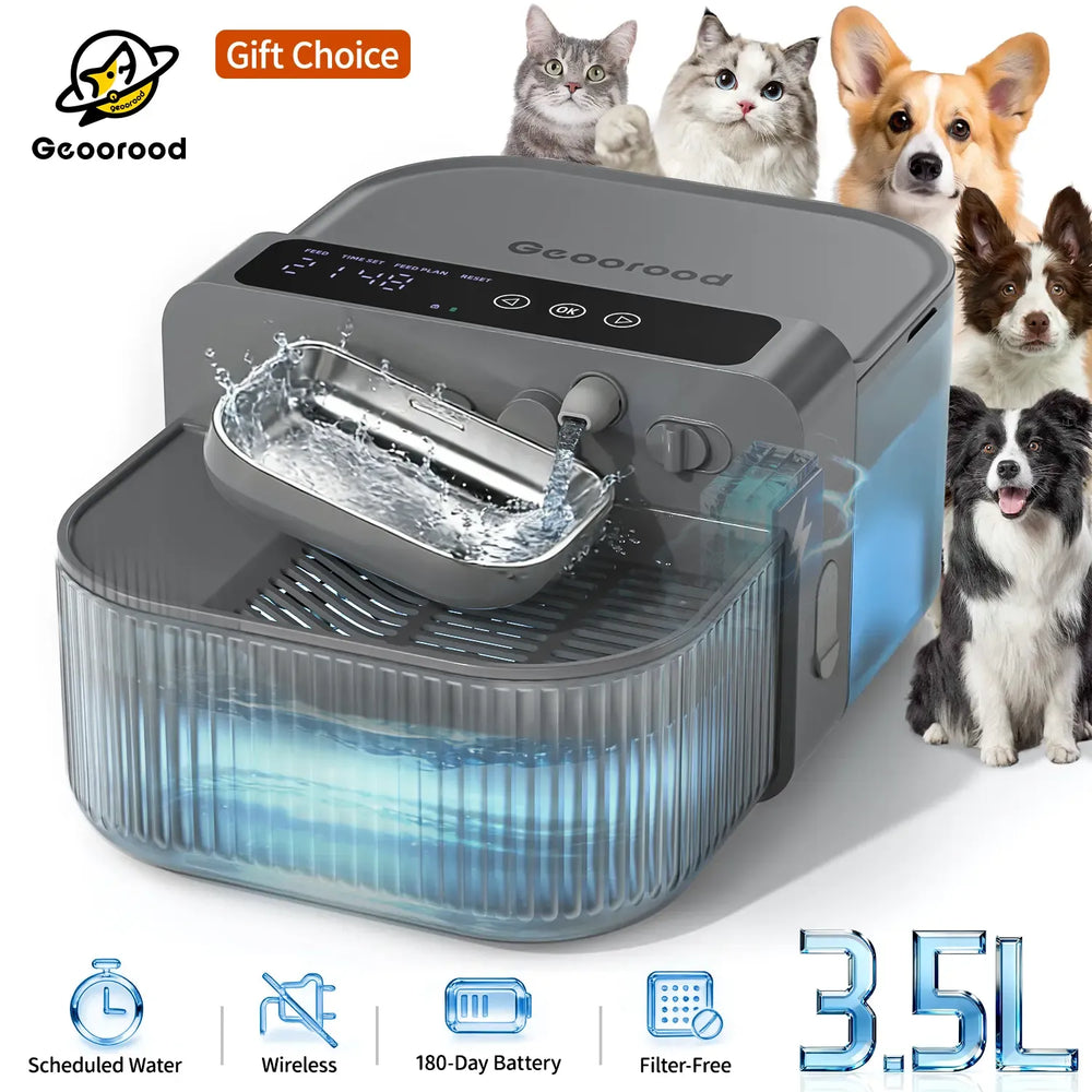 Pet Water Dispenser